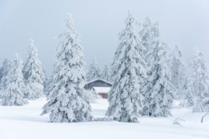 Deutschland, Baden-Württemberg, Schwarzwald, Winter auf der Hornisgrinde. Deutschland, Baden-Württemberg, Schwarzwald, Winter auf der Hornisgrinde.
